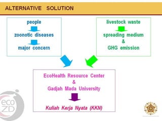Zoonotic diseases and livestock waste programmes based on peri-urban community empowerment through Kuliah Kerja Nyata (KKN)