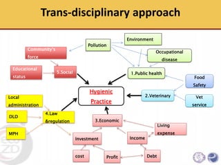 An Integrative approach to sanitary and disease prevention for small scale poultry slaughterhouses in Thailand and Vietnam