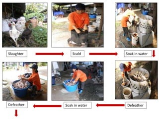 An Integrative approach to sanitary and disease prevention for small scale poultry slaughterhouses in Thailand and Vietnam
