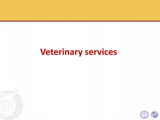 An Integrative approach to sanitary and disease prevention for small scale poultry slaughterhouses in Thailand and Vietnam