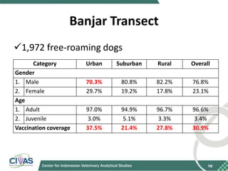Recommendations for improving vaccination coverage in the Bali dog population