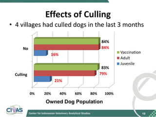 Recommendations for improving vaccination coverage in the Bali dog population