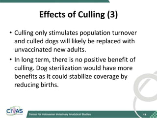 Recommendations for improving vaccination coverage in the Bali dog population
