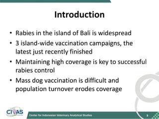 Recommendations for improving vaccination coverage in the Bali dog population