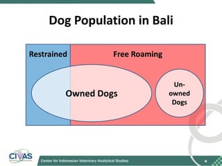 Recommendations for improving vaccination coverage in the Bali dog population