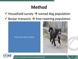 Recommendations for improving vaccination coverage in the Bali dog population