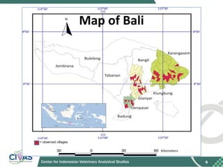 Recommendations for improving vaccination coverage in the Bali dog population