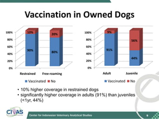 Recommendations for improving vaccination coverage in the Bali dog population