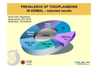 Spatial analysis and risk factors of human toxoplasmosis at special province of Yogyakarta trought ecohealth approaches