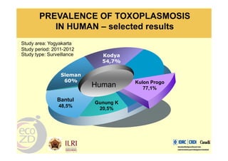 Spatial analysis and risk factors of human toxoplasmosis at special province of Yogyakarta trought ecohealth approaches