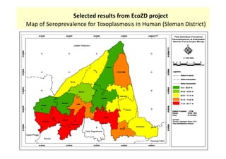 Spatial analysis and risk factors of human toxoplasmosis at special province of Yogyakarta trought ecohealth approaches
