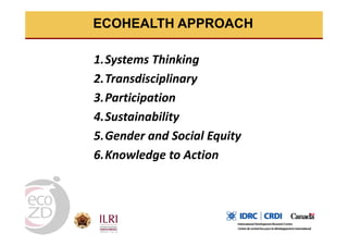 Spatial analysis and risk factors of human toxoplasmosis at special province of Yogyakarta trought ecohealth approaches