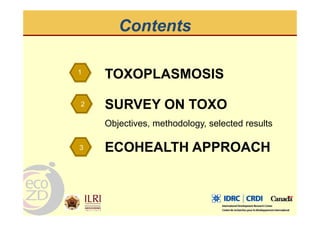Spatial analysis and risk factors of human toxoplasmosis at special province of Yogyakarta trought ecohealth approaches