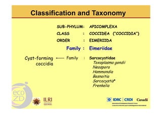 Spatial analysis and risk factors of human toxoplasmosis at special province of Yogyakarta trought ecohealth approaches