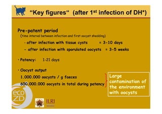 Spatial analysis and risk factors of human toxoplasmosis at special province of Yogyakarta trought ecohealth approaches