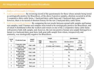 An integrated approach to control Brucellosis

  Analysis of test results in Yiliang:
 Link to questionnaire: By reviewing record of the questionnaire for those whose animals being tested
  as serologically positive for Brucellosis, of the above 6 positive samples, abortion occurred in all the
  2 cooperative dairy cattle farms, 1 backyard dairy cattle farm and 1 backyard dairy goat farm;
  however, there is no record of abortion history for the rest 2 backyard dairy cattle farms.
 Link to test results in human: By comparing the test results between animal milk samples and human
  sera samples, total 5 human sera samples were tested to be serologically positive for Brucellosis, and
  of which 4 distributed within the workers and owners in one of the 2 cooperative dairy cattle farms
  with positive bulk milk sample; and, however, the rest one positive human sera sample belonged to a
  farmer in a backyard dairy goat farm, bulk goat milk sample from whom, irrespectively and
  contrarily, was serologically negative for Brucellosis.
 