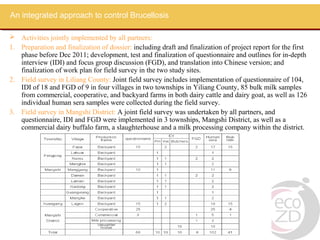 An integrated approach to control brucellosis in Yunnan Province China