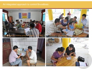 An integrated approach to control brucellosis in Yunnan Province China