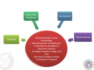 Towards developing a system framework for causes of foodborne disease in Thailand 2003-2011