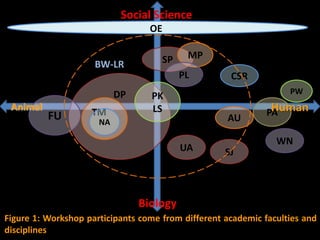 Towards developing a system framework for causes of foodborne disease in Thailand 2003-2011