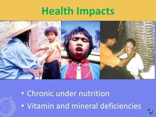 Transdisciplinary communication: Impacts on heath and vulnerability of Highland ethnic communities in Thailand