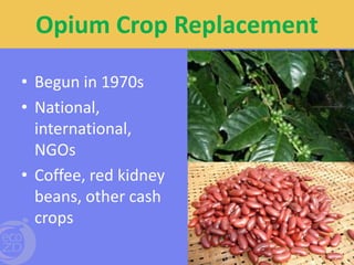 Transdisciplinary communication: Impacts on heath and vulnerability of Highland ethnic communities in Thailand