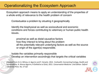 Borderland highlander ethnic minorities of northern Thailand in transition: Livelihoods, livestock, and human health