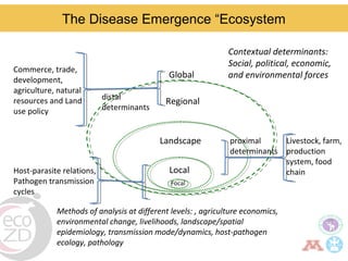Borderland highlander ethnic minorities of northern Thailand in transition: Livelihoods, livestock, and human health