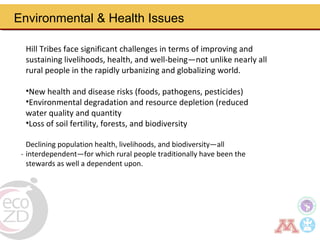 Borderland highlander ethnic minorities of northern Thailand in transition: Livelihoods, livestock, and human health