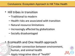 Borderland highlander ethnic minorities of northern Thailand in transition: Livelihoods, livestock, and human health
