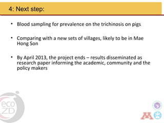 Borderland highlander ethnic minorities of northern Thailand in transition: Livelihoods, livestock, and human health