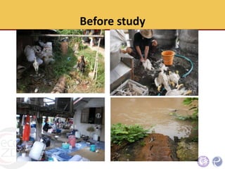 The economic status, hygienic practices and challenges for improvement of small scale poultry slaughterhouses to meet standard poultry slaughterhouse regulation in Northern Thailand
