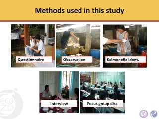 The economic status, hygienic practices and challenges for improvement of small scale poultry slaughterhouses to meet standard poultry slaughterhouse regulation in Northern Thailand