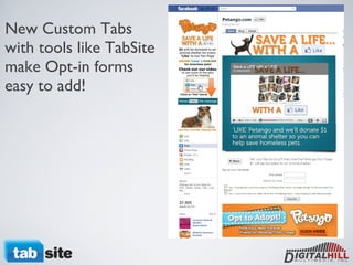New Custom Tabs  with tools like TabSite make Opt-in forms  easy to add! 