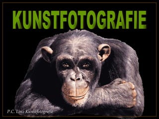 KUNSTFOTOGRAFIE P.C. Linz Kunstfotografie 