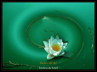 Enclave del Sol  Enclave du Soleil 