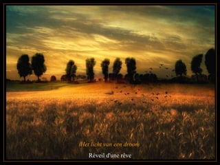 Het licht van een droom Réveil d'une rêve 