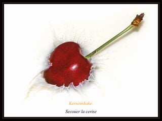 Kersenshake  Secouer la cerise 