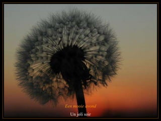 Een mooie avond Un joli soir 