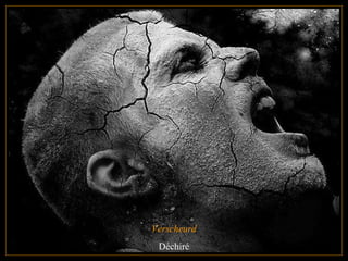 Verscheurd Déchiré 