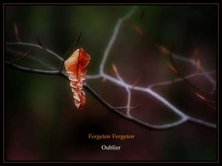 Vergeten Vergeten Oublier 