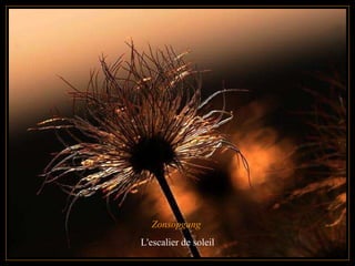 Zonsopgang  L'escalier de soleil 