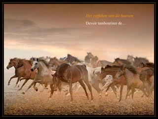 Het roffelen van de hoeven Devoir tambouriner de… 