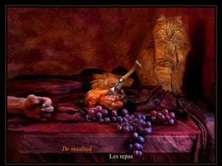 De maaltijd  Les repas 