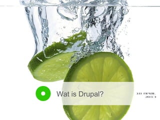 Wat is Drupal?   10 april
                    2013
 