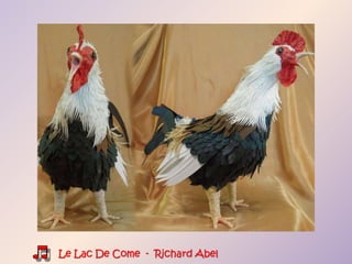 Le Lac De Come - Richard Abel
 