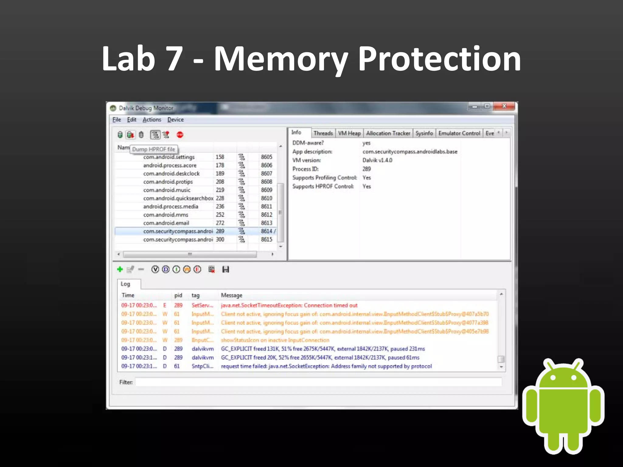 Lab 7 - Memory Protection 