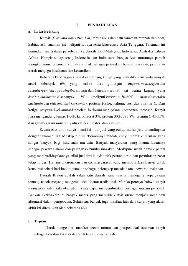 Makalah Kunyit