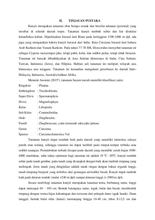 Makalah Kunyit