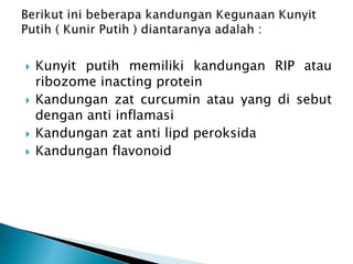 ? Kunyit putih memiliki kandungan RIP atau
ribozome inacting protein
? Kandungan zat curcumin atau yang di sebut
dengan anti inflamasi
? Kandungan zat anti lipd peroksida
? Kandungan flavonoid
 